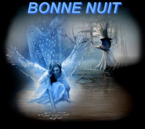 belle nuit gif|bonne nuit meme.